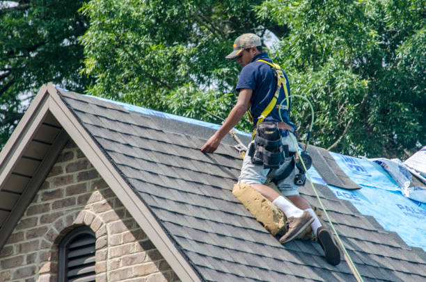 Best Roof Gutter Cleaning  in Coulee Dam, WA